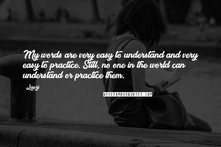 Laozi Quotes: My words are very easy to understand and very easy to practice. Still, no one in the world can understand or practice them.