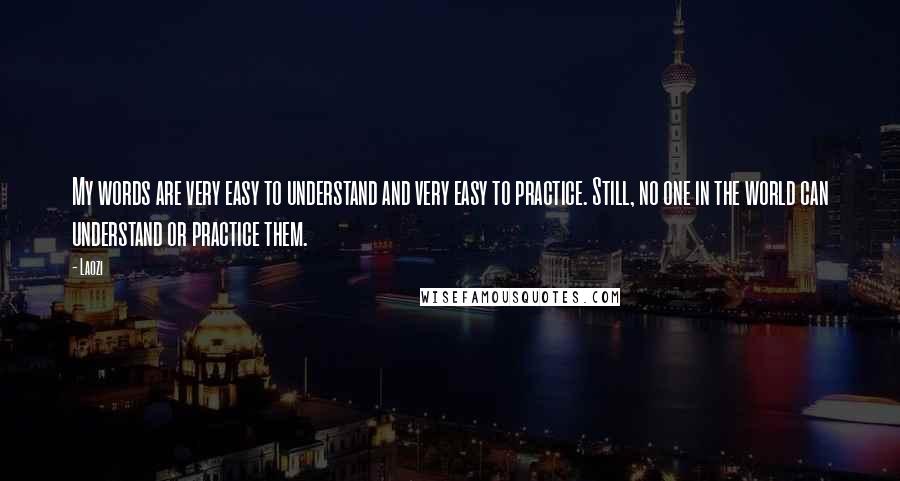 Laozi Quotes: My words are very easy to understand and very easy to practice. Still, no one in the world can understand or practice them.