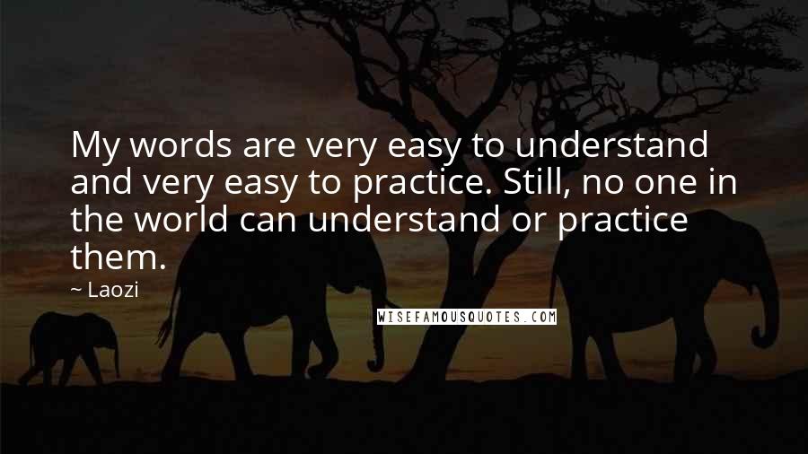 Laozi Quotes: My words are very easy to understand and very easy to practice. Still, no one in the world can understand or practice them.