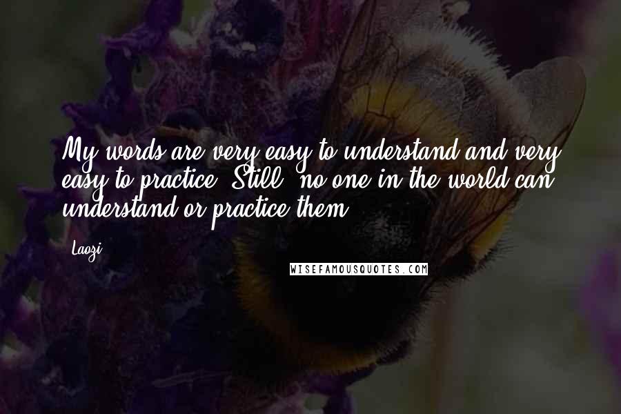 Laozi Quotes: My words are very easy to understand and very easy to practice. Still, no one in the world can understand or practice them.