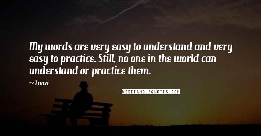 Laozi Quotes: My words are very easy to understand and very easy to practice. Still, no one in the world can understand or practice them.