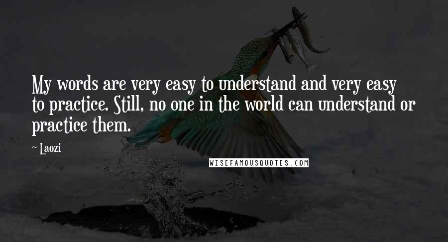 Laozi Quotes: My words are very easy to understand and very easy to practice. Still, no one in the world can understand or practice them.