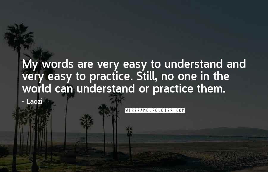 Laozi Quotes: My words are very easy to understand and very easy to practice. Still, no one in the world can understand or practice them.