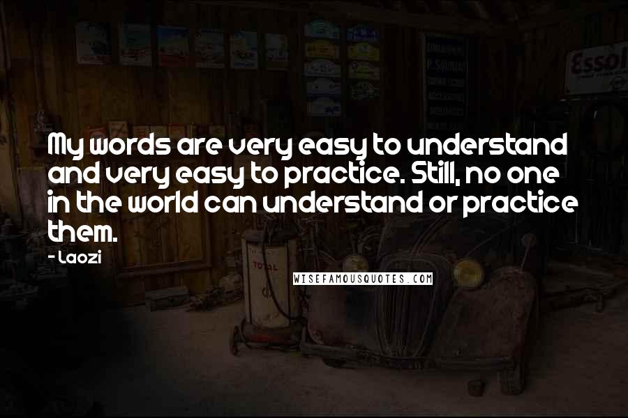 Laozi Quotes: My words are very easy to understand and very easy to practice. Still, no one in the world can understand or practice them.