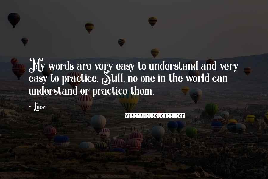 Laozi Quotes: My words are very easy to understand and very easy to practice. Still, no one in the world can understand or practice them.