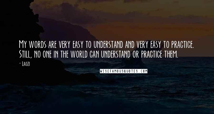 Laozi Quotes: My words are very easy to understand and very easy to practice. Still, no one in the world can understand or practice them.