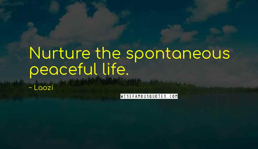 Laozi Quotes: Nurture the spontaneous peaceful life.