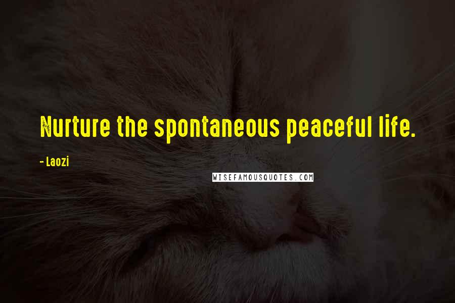 Laozi Quotes: Nurture the spontaneous peaceful life.