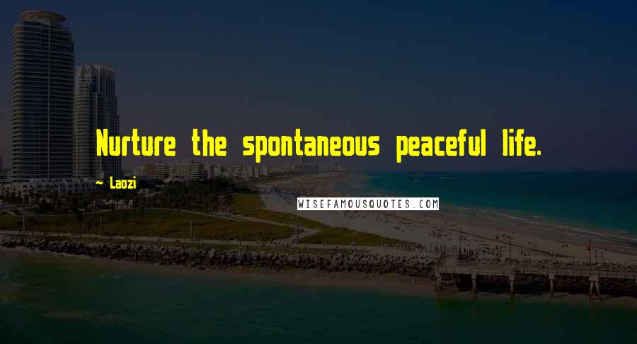 Laozi Quotes: Nurture the spontaneous peaceful life.