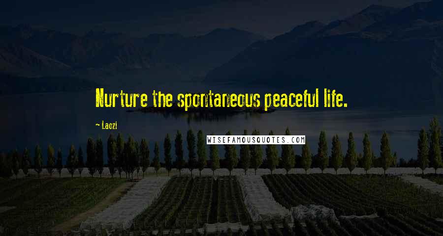 Laozi Quotes: Nurture the spontaneous peaceful life.