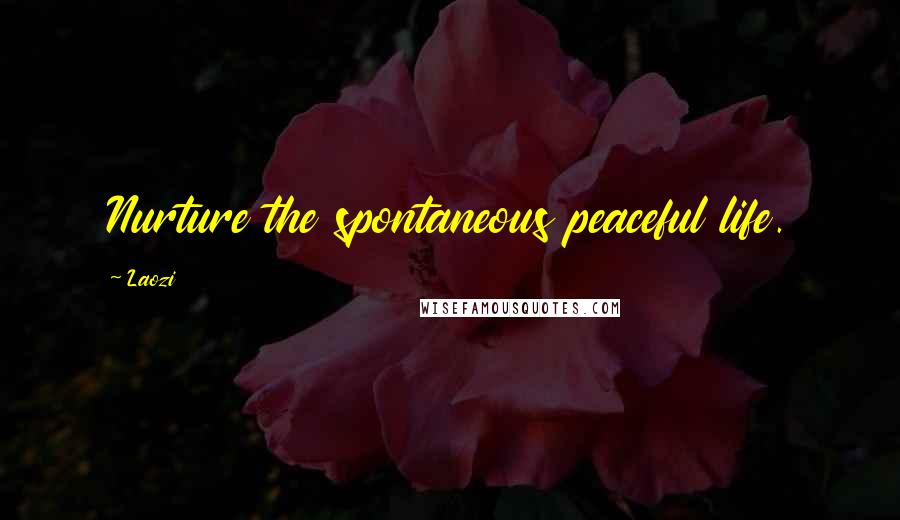 Laozi Quotes: Nurture the spontaneous peaceful life.