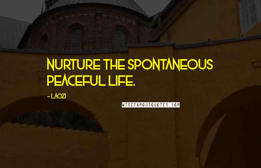 Laozi Quotes: Nurture the spontaneous peaceful life.