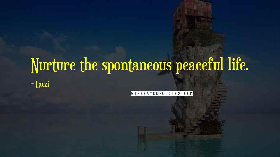 Laozi Quotes: Nurture the spontaneous peaceful life.