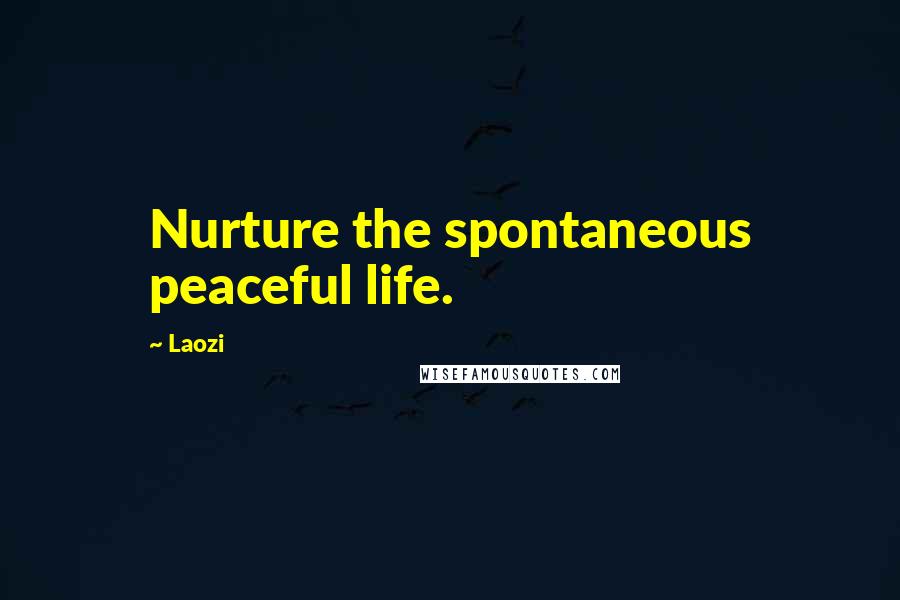 Laozi Quotes: Nurture the spontaneous peaceful life.