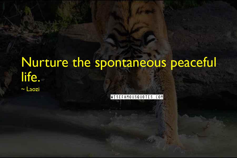 Laozi Quotes: Nurture the spontaneous peaceful life.