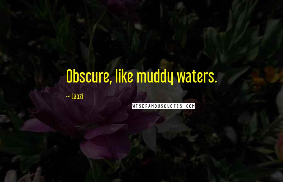 Laozi Quotes: Obscure, like muddy waters.