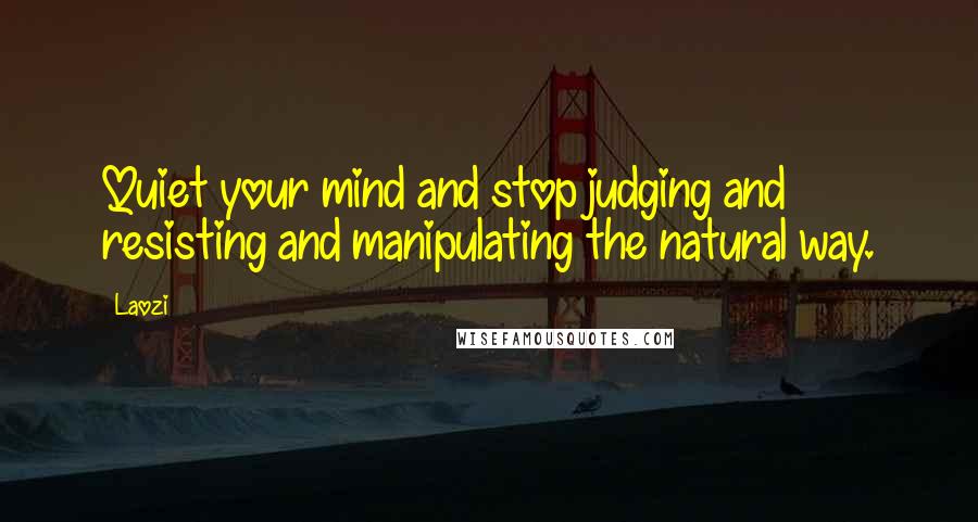 Laozi Quotes: Quiet your mind and stop judging and resisting and manipulating the natural way.