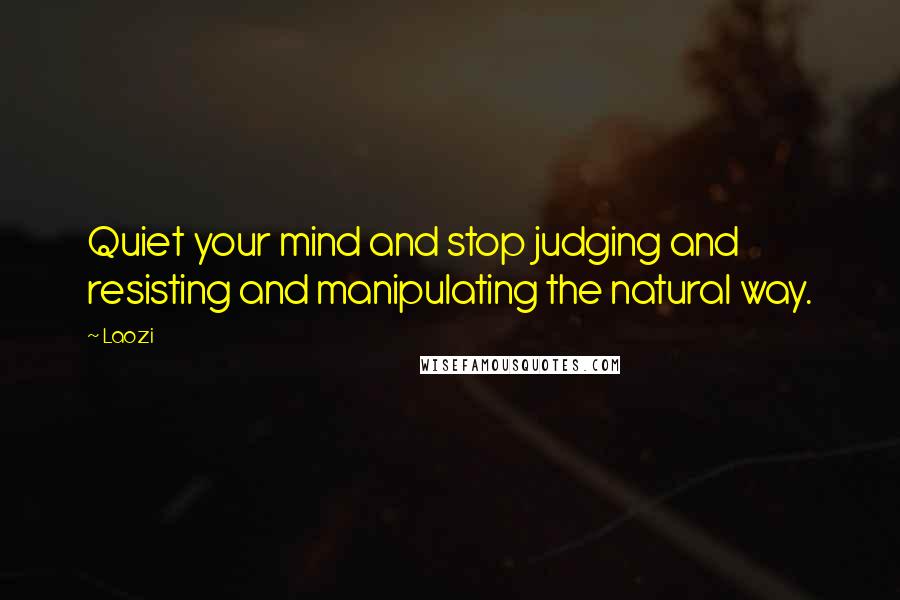 Laozi Quotes: Quiet your mind and stop judging and resisting and manipulating the natural way.