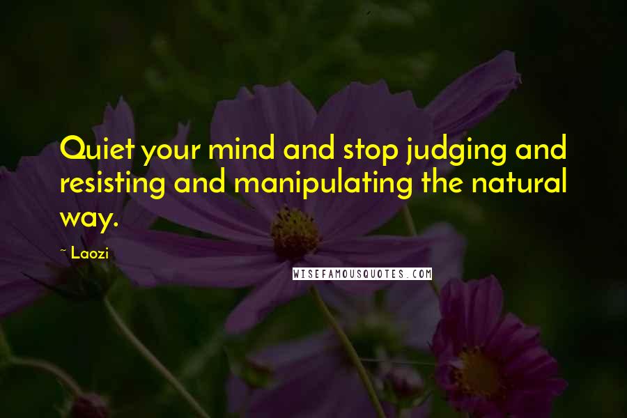 Laozi Quotes: Quiet your mind and stop judging and resisting and manipulating the natural way.