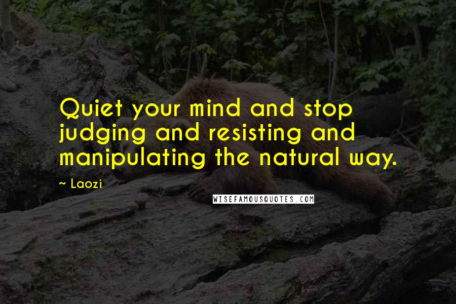 Laozi Quotes: Quiet your mind and stop judging and resisting and manipulating the natural way.