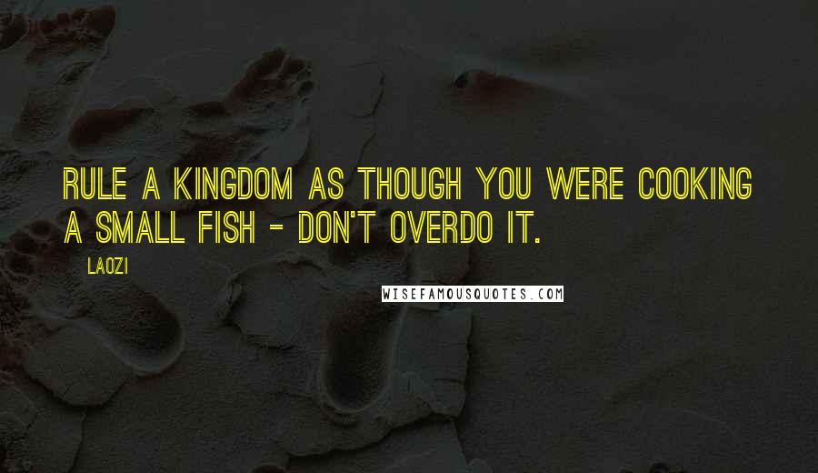 Laozi Quotes: Rule a kingdom as though you were cooking a small fish - don't overdo it.