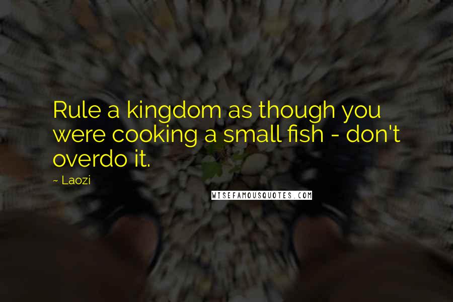 Laozi Quotes: Rule a kingdom as though you were cooking a small fish - don't overdo it.