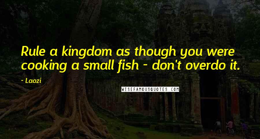 Laozi Quotes: Rule a kingdom as though you were cooking a small fish - don't overdo it.