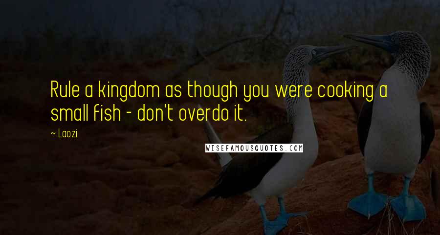 Laozi Quotes: Rule a kingdom as though you were cooking a small fish - don't overdo it.