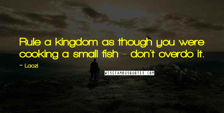 Laozi Quotes: Rule a kingdom as though you were cooking a small fish - don't overdo it.