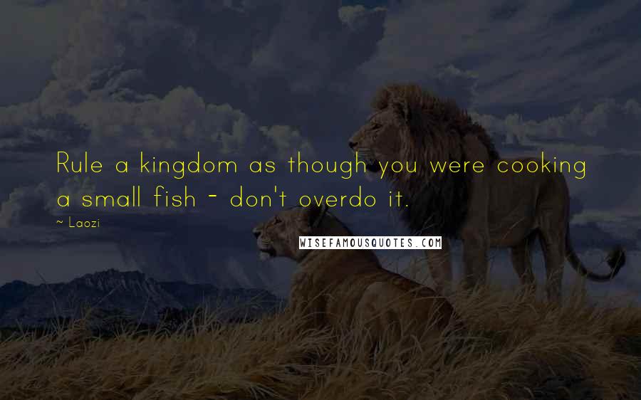 Laozi Quotes: Rule a kingdom as though you were cooking a small fish - don't overdo it.