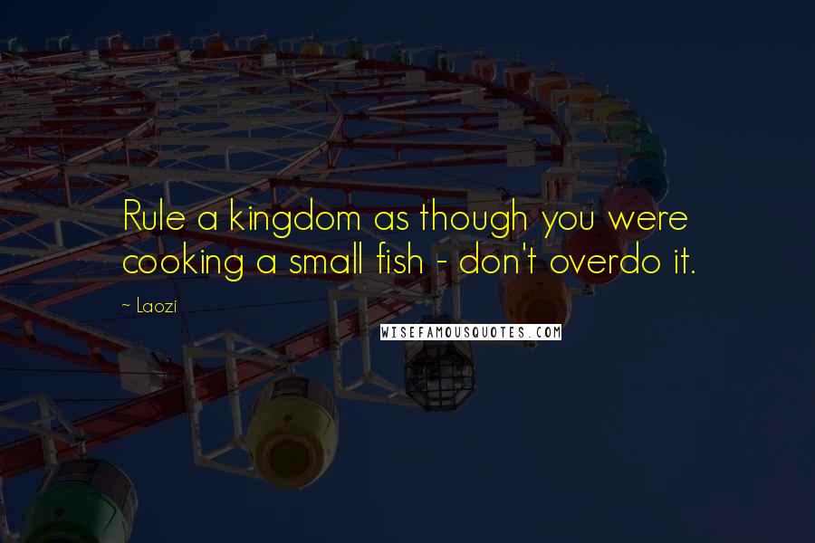 Laozi Quotes: Rule a kingdom as though you were cooking a small fish - don't overdo it.