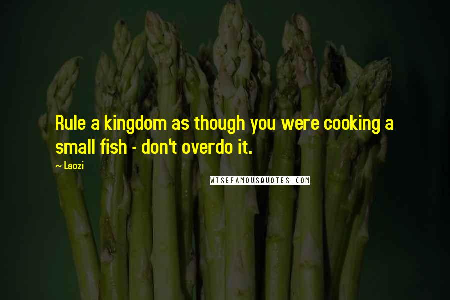 Laozi Quotes: Rule a kingdom as though you were cooking a small fish - don't overdo it.