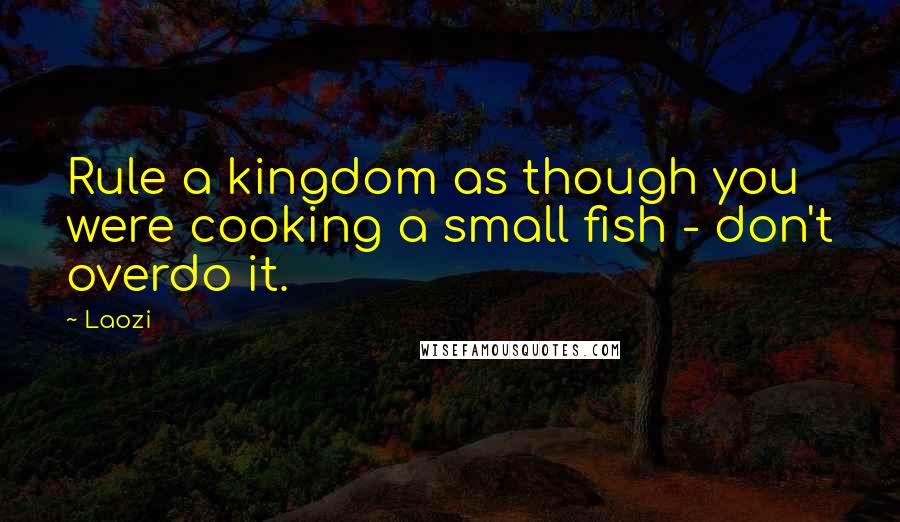 Laozi Quotes: Rule a kingdom as though you were cooking a small fish - don't overdo it.