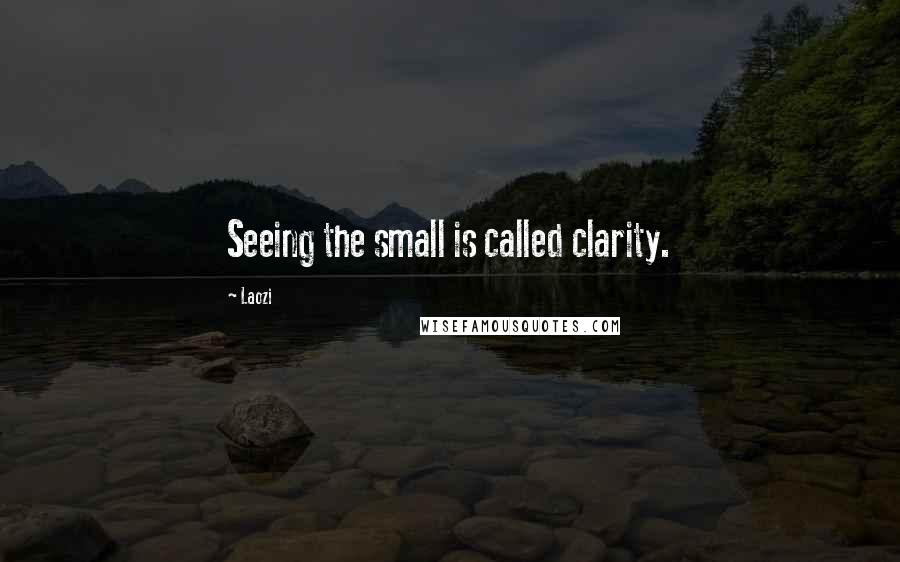 Laozi Quotes: Seeing the small is called clarity.