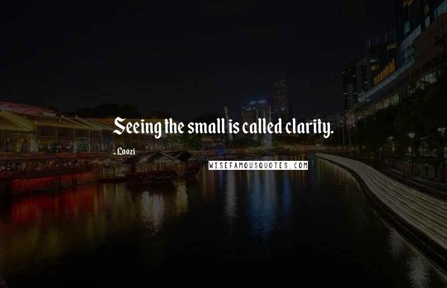 Laozi Quotes: Seeing the small is called clarity.