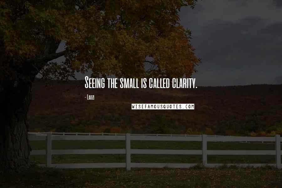 Laozi Quotes: Seeing the small is called clarity.