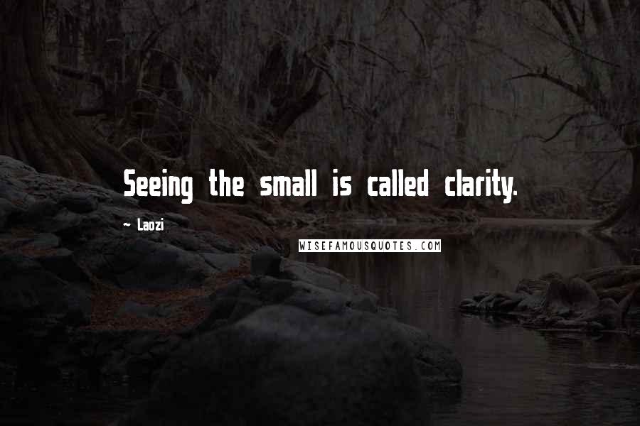 Laozi Quotes: Seeing the small is called clarity.