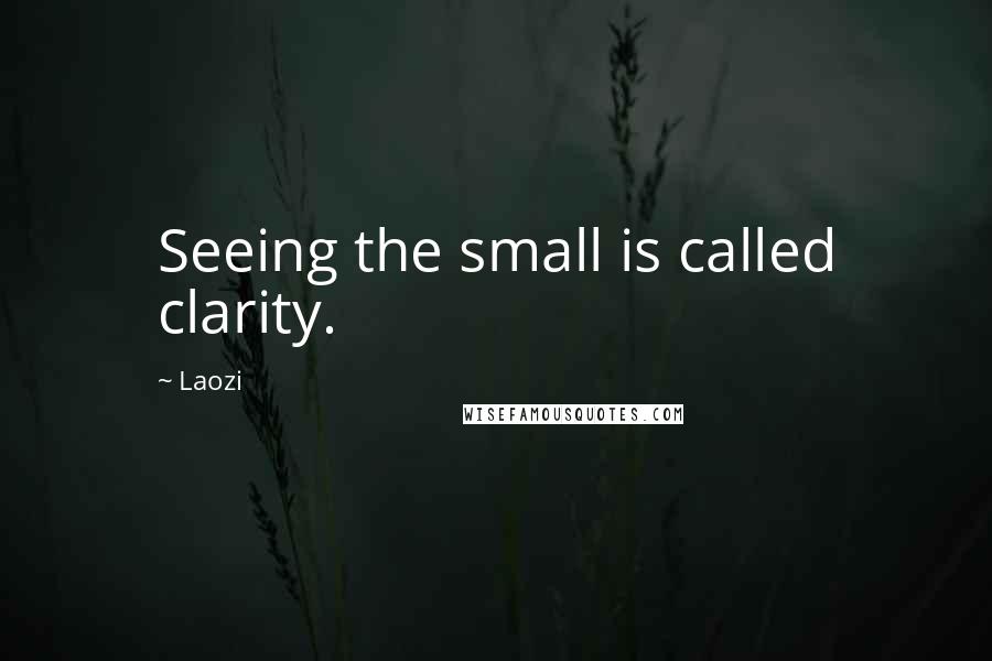 Laozi Quotes: Seeing the small is called clarity.