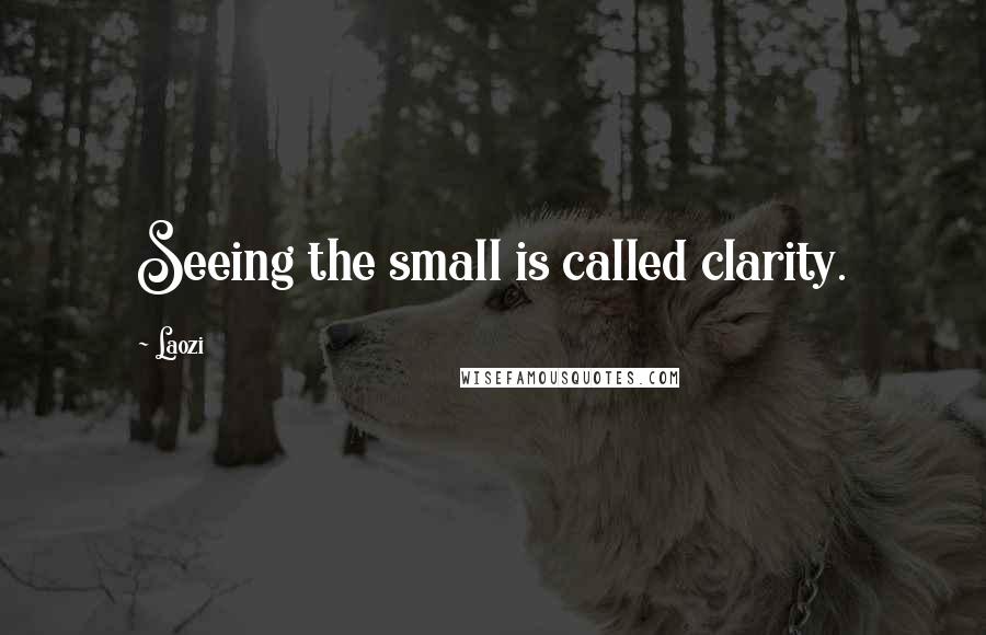 Laozi Quotes: Seeing the small is called clarity.