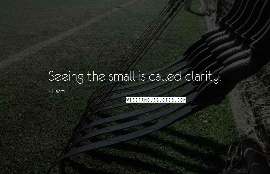 Laozi Quotes: Seeing the small is called clarity.