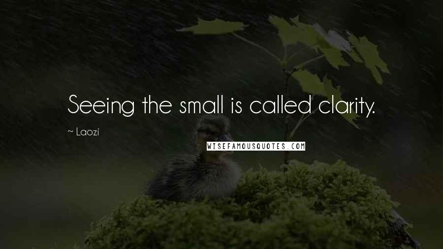 Laozi Quotes: Seeing the small is called clarity.