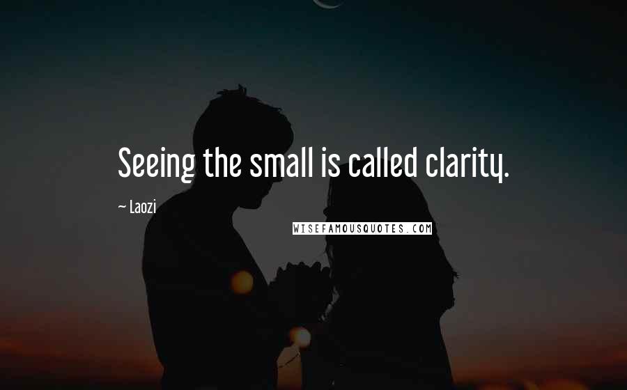 Laozi Quotes: Seeing the small is called clarity.