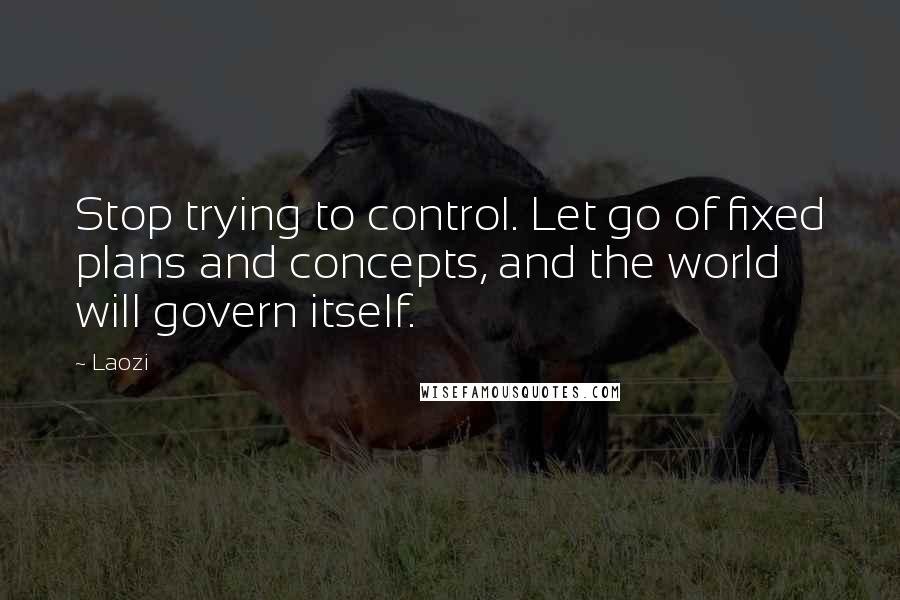 Laozi Quotes: Stop trying to control. Let go of fixed plans and concepts, and the world will govern itself.