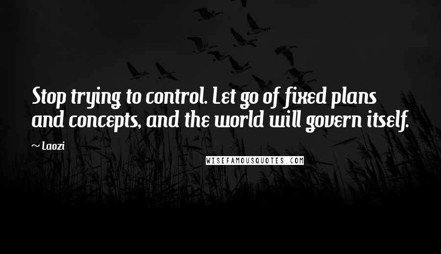 Laozi Quotes: Stop trying to control. Let go of fixed plans and concepts, and the world will govern itself.