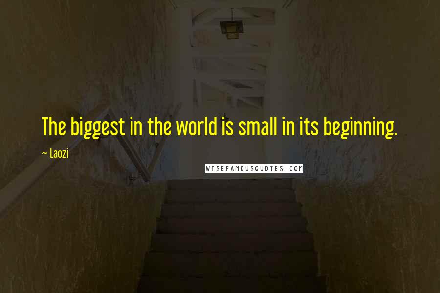 Laozi Quotes: The biggest in the world is small in its beginning.