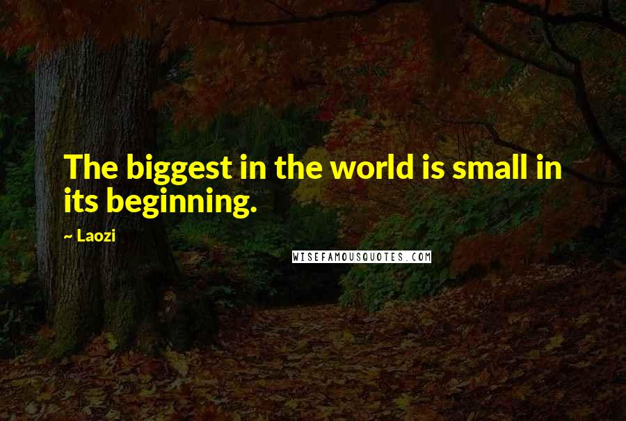 Laozi Quotes: The biggest in the world is small in its beginning.