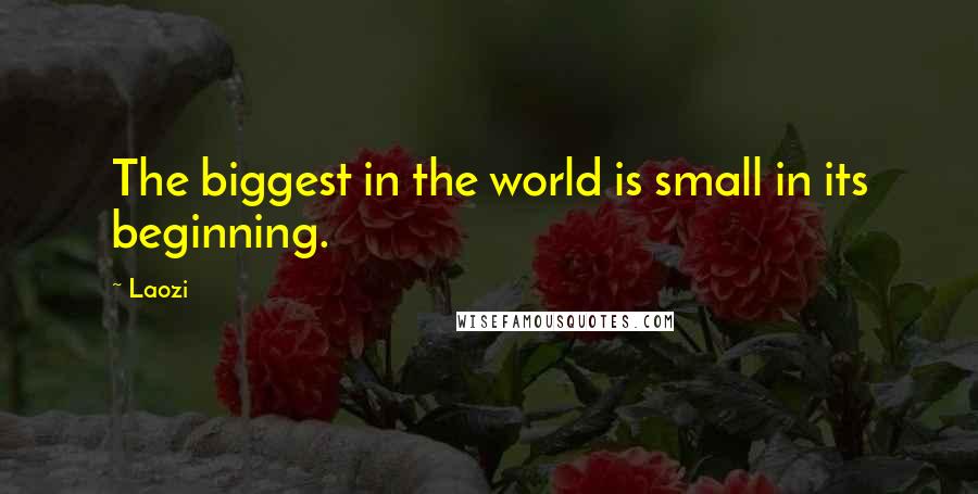 Laozi Quotes: The biggest in the world is small in its beginning.