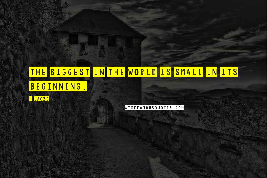 Laozi Quotes: The biggest in the world is small in its beginning.