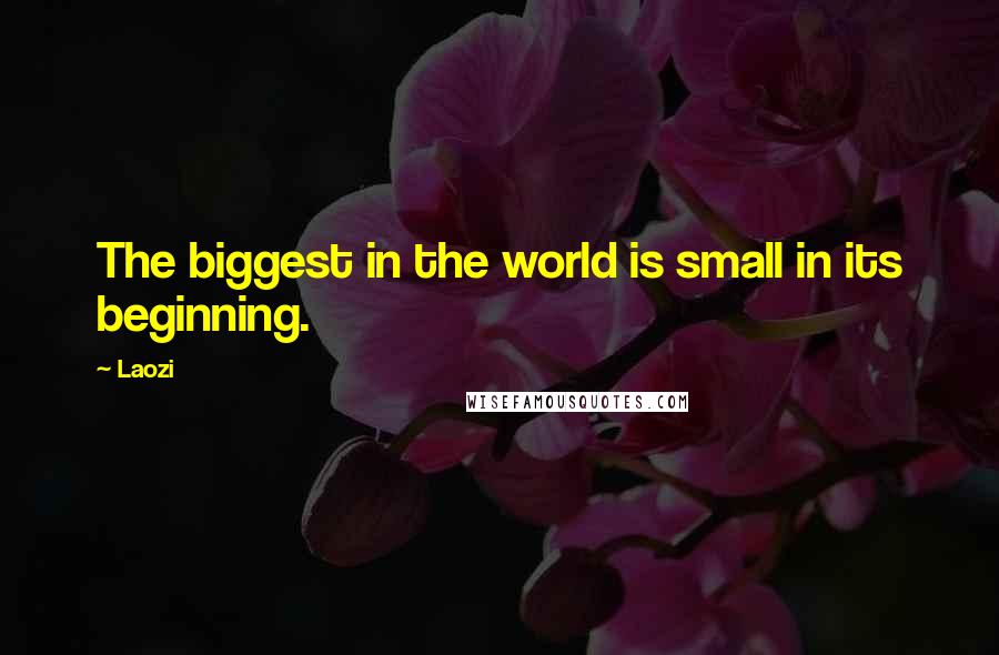 Laozi Quotes: The biggest in the world is small in its beginning.