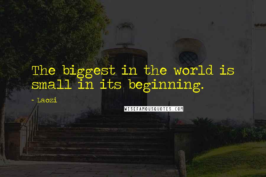 Laozi Quotes: The biggest in the world is small in its beginning.